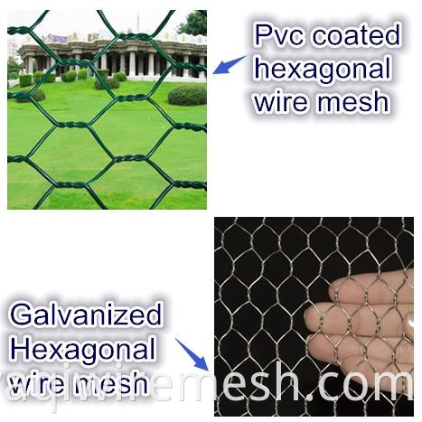 1/2 "Galvanisé Fence Fence Hexagonal Fil Mesh Poulet Maux